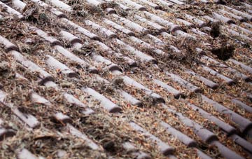 Athelhampton roof cleaning companies