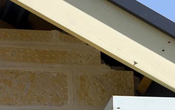 soffit repair Athelhampton