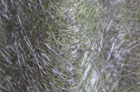 Athelhampton fibreglass roof work